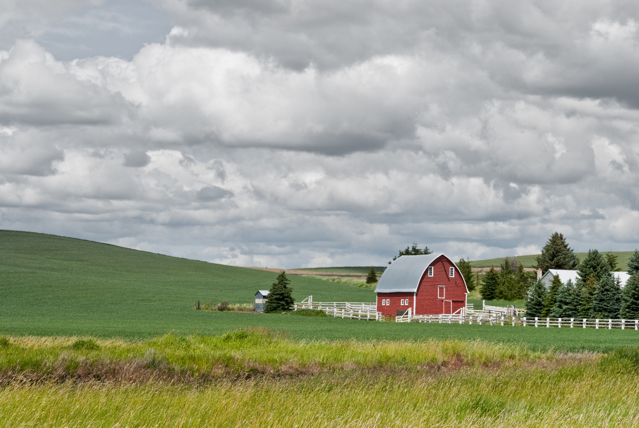 Panoramic Image of Pullman, WA